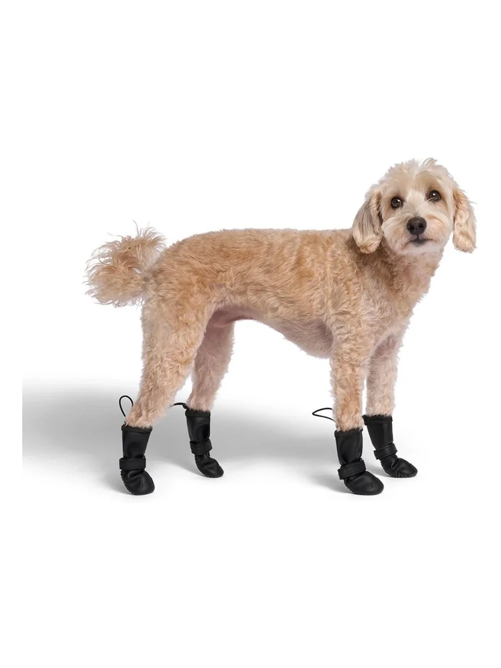 Canada Pooch protective black